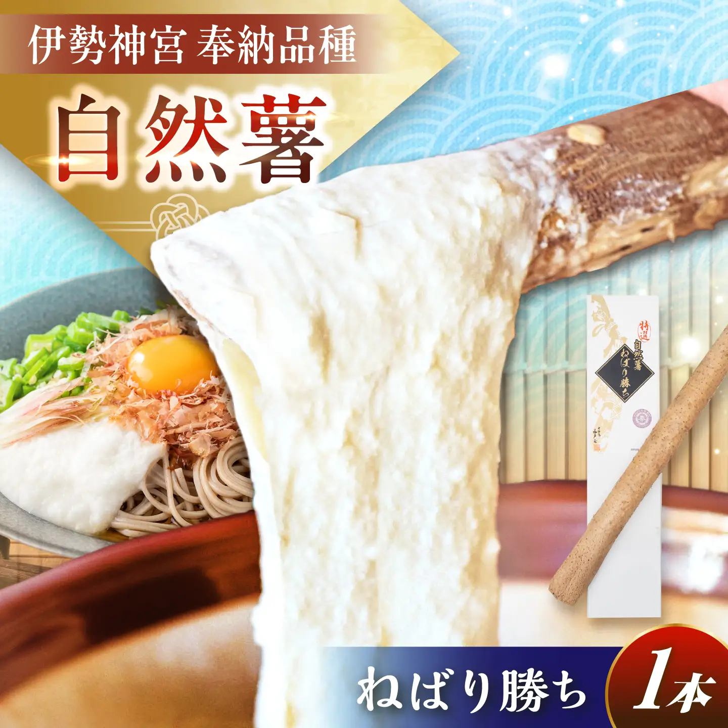 自然薯『ねばり勝ち』 1本入 / 恵那市 / 水戸屋 [AUFZ007] 自然薯