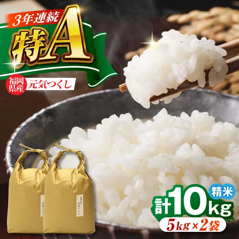 福岡県産 元気つくし 白米 10kg (5kg×2袋)[BGAF019]元気つくし