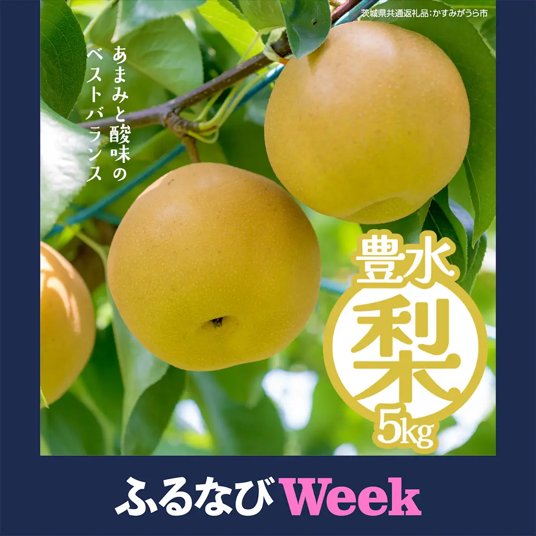 【ふるなびWEEK対象】豊水 約5kg（茨城県共通返礼品：かすみがうら市） 2026年9月上旬発送開始 梨 数量限定 なし ナシ フルーツ 果物 旬 産地直送 [FF004sa]