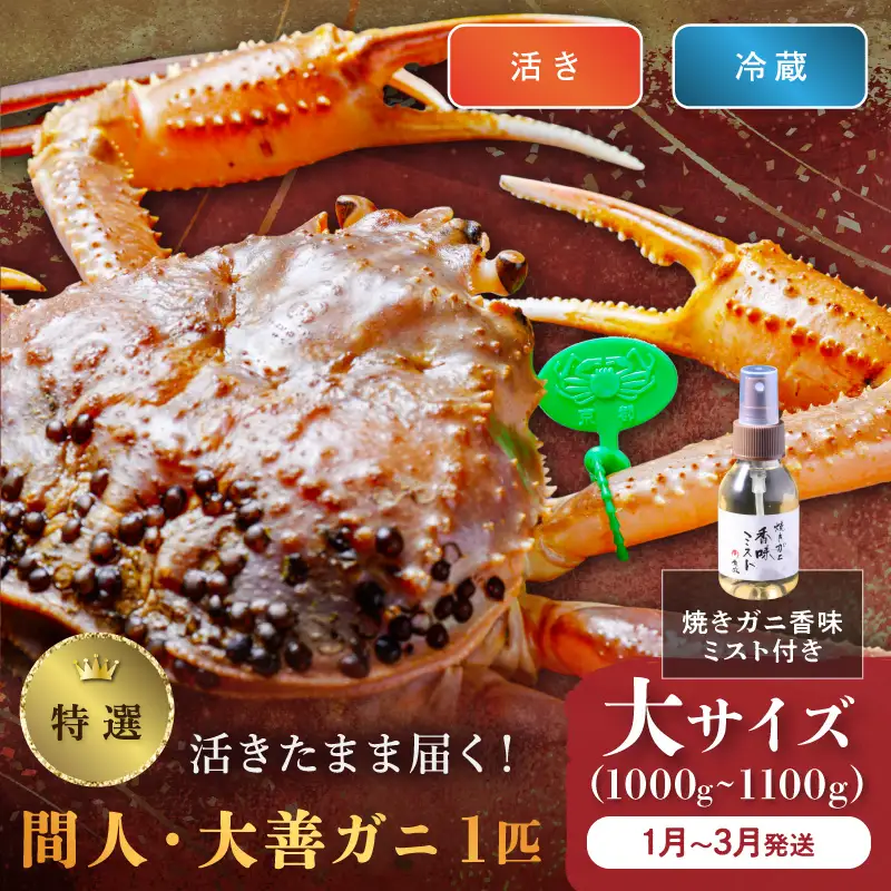 【蟹の匠 魚政】京丹後市産 活きたまま届く！　間人ガニ大善ガニ 特撰 大サイズ（1000～1100g) 1匹　香味ミスト付き(1月～3月発送） | ズワイガニ カニ 姿
