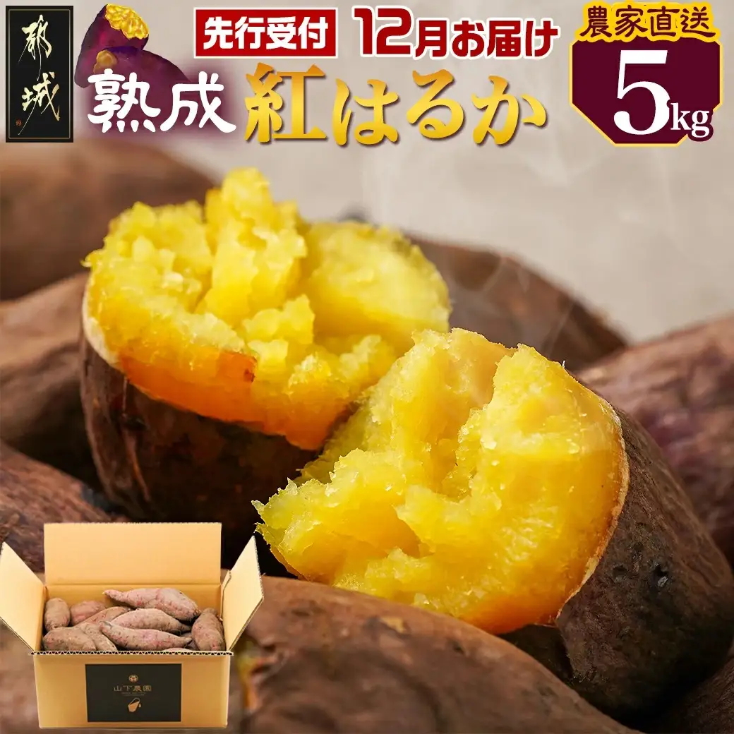 先行受付!【12月お届け】【農家直送】山下農園　熟成紅はるか 5kg〔LD-I704-12〕_(都城市) 都城産 紅はるか S～2Lサイズ混合 山下農園 さつまいも兄弟 長期熟成 甘い