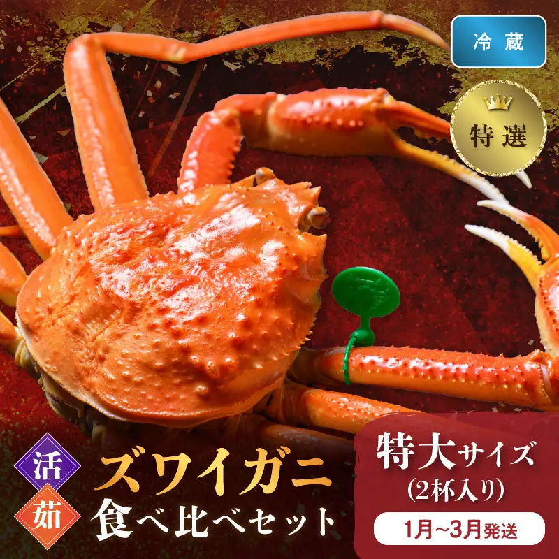 【蟹の匠 魚政】【京丹後産 特撰】ズワイガニ 食べ比べセット〈活×茹〉特大サイズ2杯入り(1月～3月発送）カニ