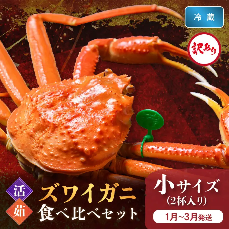 訳あり【蟹の匠 魚政】京丹後産 ズワイガニ 食べ比べセット〈活×茹〉小サイズ2杯入り(1月～3月発送）