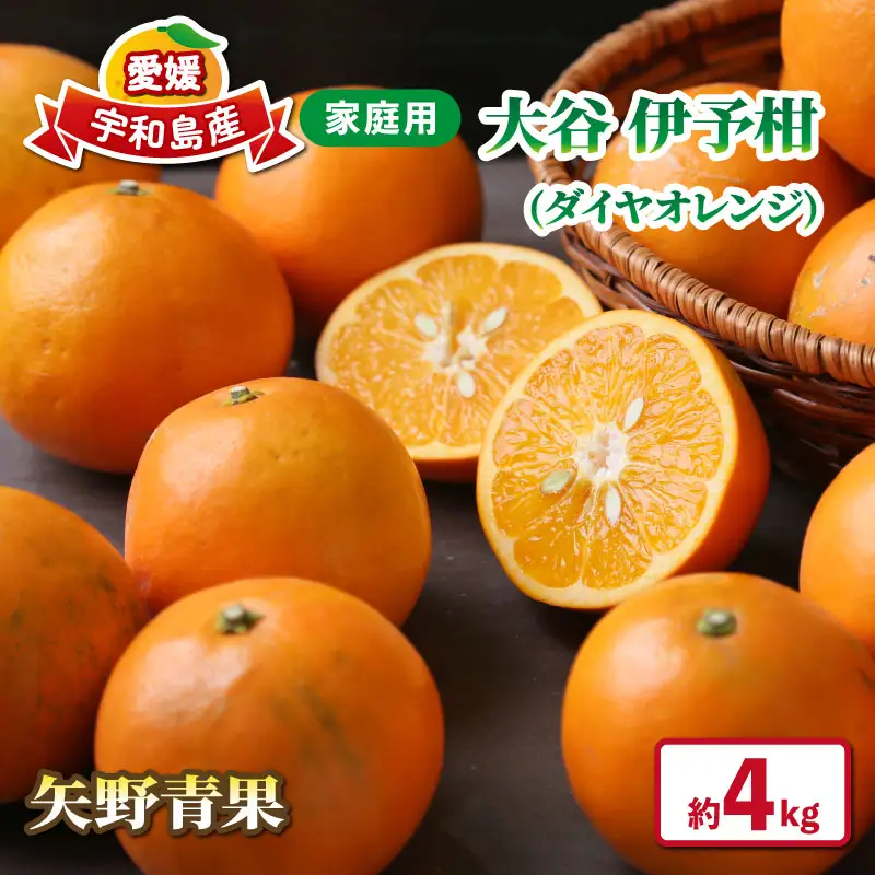 大谷 伊予柑 約 4kg 家庭用 果物 矢野青果 果物 B012-171041