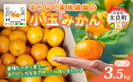 まちなが家族農園の小玉みかん 3.5kg みかん ミカン 蜜柑 たらみかん 太良みかん 温州みかん 完熟みかん 甘熟 柑橘 国産 佐賀県産 太良町 こだわり 産地直送 贈答品 詰め合わせ 極甘 M119x1 【2026年10月下旬～2027年1月下旬発送予定】