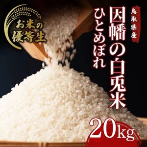 Y984 因幡の白兎米 ひとめぼれ 令和7年産 精米済 20kg（5kg×4袋）
