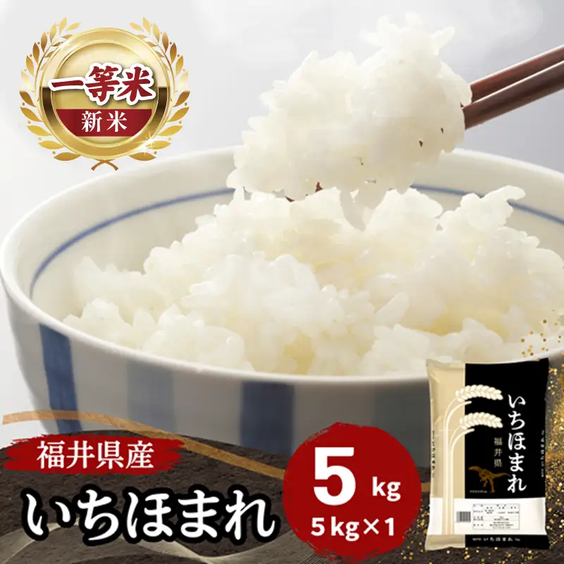 福井県産いちほまれ 米 5kg [B-187002] / いちほまれ