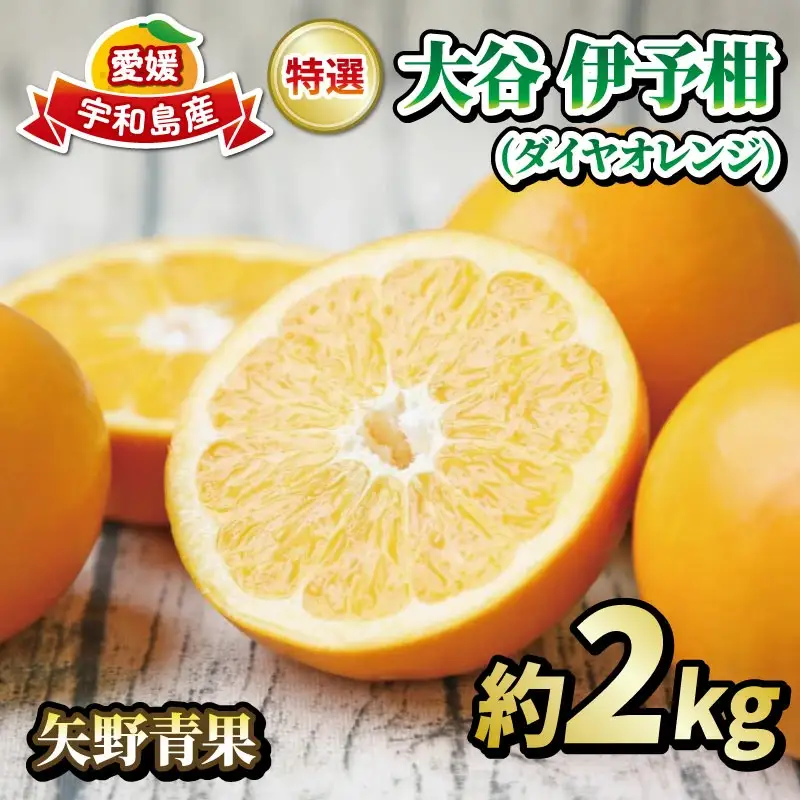 大谷 伊予柑 2kg 特選 果物 矢野青果 果物 B012-171042
