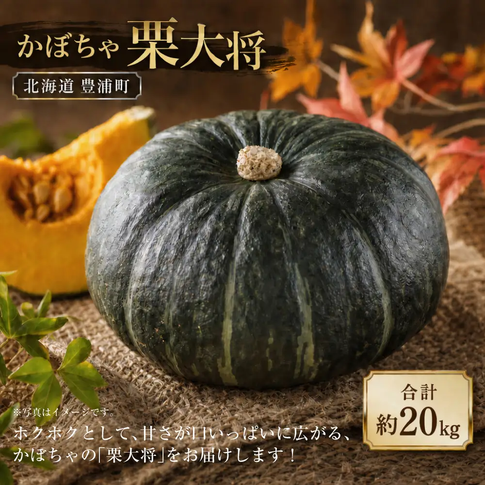 【先行予約】北海道 豊浦町 かぼちゃ 栗大将 約20kg （1箱5～7玉）約10kg×2箱【2026年9月上旬発送開始】 カボチャ 南瓜 野菜 煮物 天ぷら