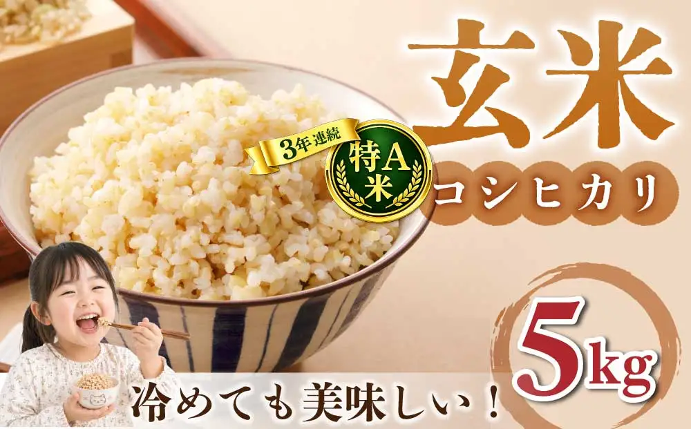 玄米5kg 特A米【冷めても美味しいコシヒカリ】｜最短4～7日程度でお届け　※着日指定不可【小田農園】