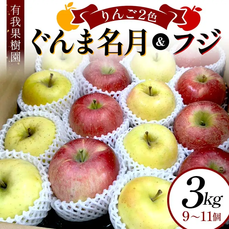 りんご 2色 リンゴ ぐんま名月 フジ 3kg 9～11個 御歳暮 ＜有我果樹園＞ りんご リンゴ 林檎 デザート フルーツ 果物 くだもの F7X-0284