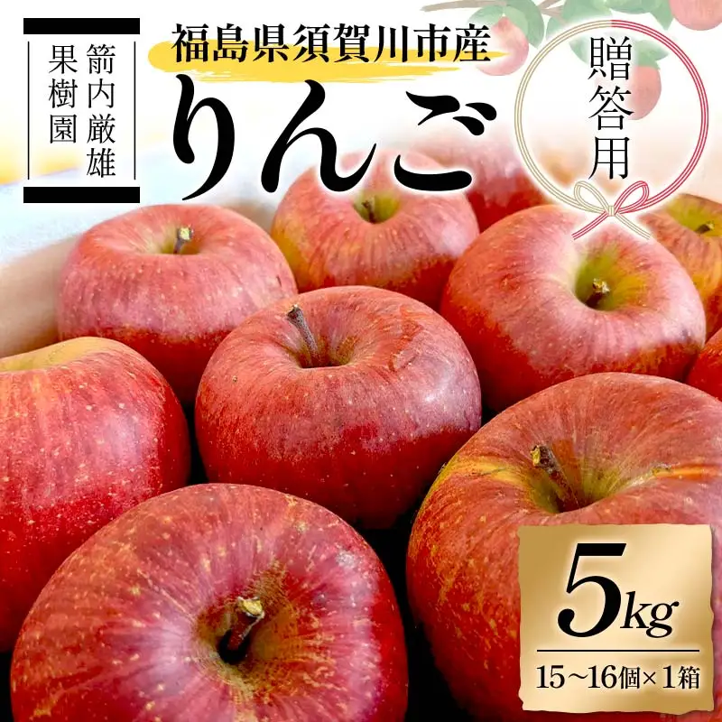 須賀川市産 リンゴ 贈答用 5kg（15～16個）＜箭内厳雄果樹園＞ りんご リンゴ 林檎 デザート フルーツ 果物 くだもの F7X-0289