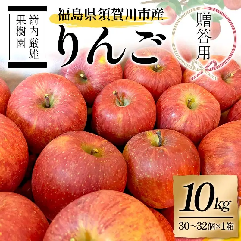 須賀川市産 リンゴ 贈答用 10kg（30～32個）＜箭内厳雄果樹園＞ りんご リンゴ 林檎 デザート フルーツ 果物 くだもの F7X-0290