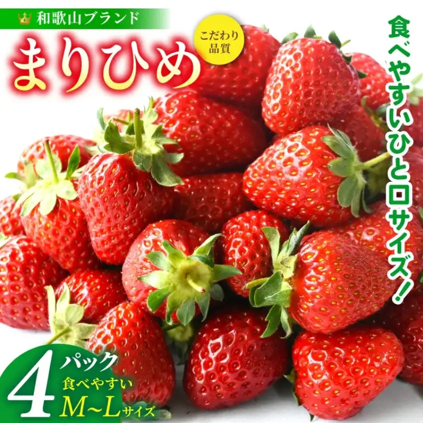 まりひめイチゴ4パック 食べやすいひと口サイズ M～L（15粒～20粒入×4パック）【2027年1月中旬～3月下旬頃に順次発送】【先行販売】いちご イチゴ 苺 まりひめ 果物 フルーツ 甘い 人気 おすすめ【BK-kgr034】