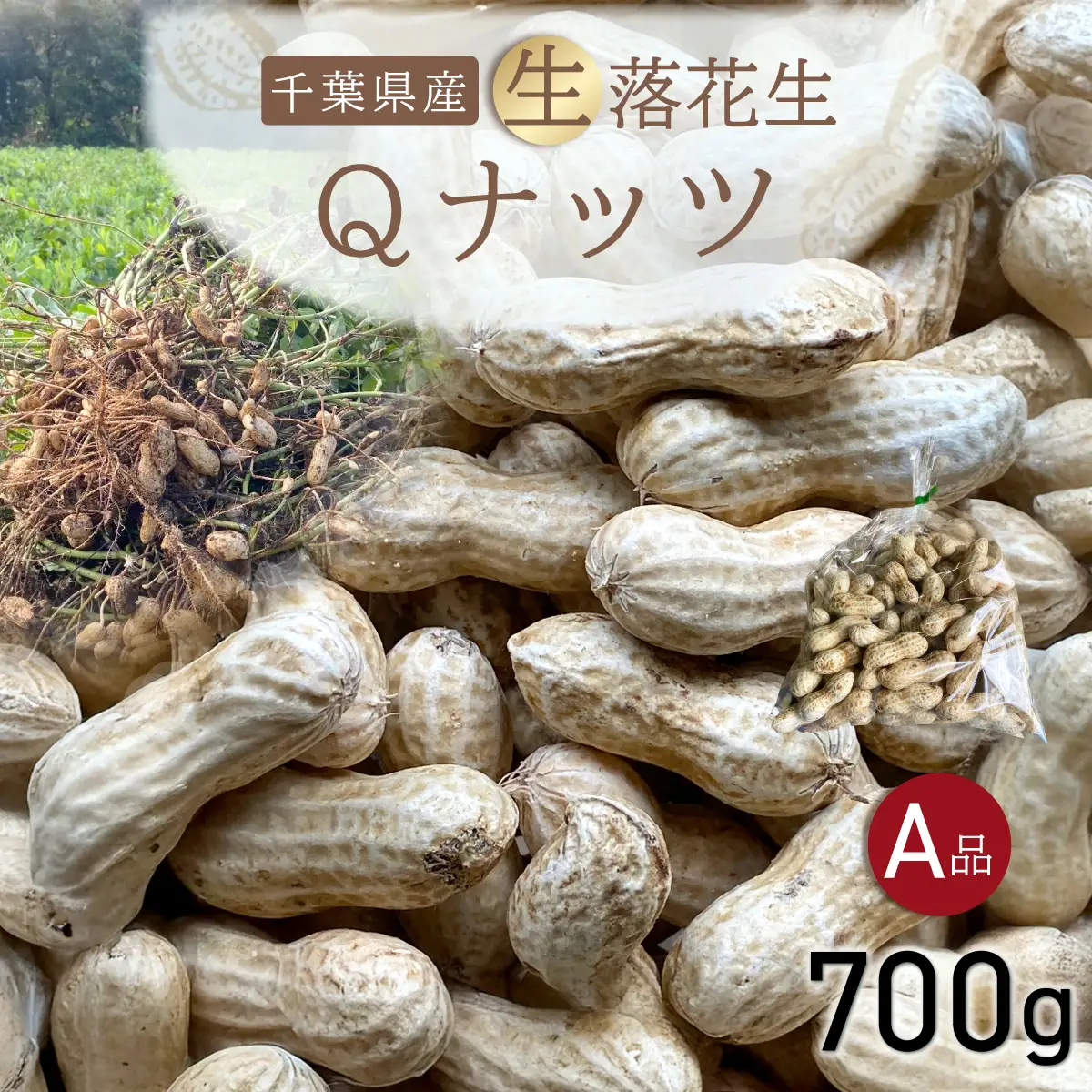 【先行受付・9月中旬より順次発送！】Qナッツ 生落花生 700g SMAH013／ふるさと納税 落花生 生 生落花生 Qナッツ Qなっつ A品 新品種 希少 旬 季節限定 あっさり 香ばしい 甘い 塩ゆで おやつ おつまみ 千葉県産 千葉県 山武市
