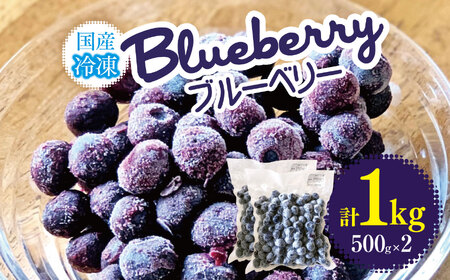 冷凍ブルーベリー　1kg