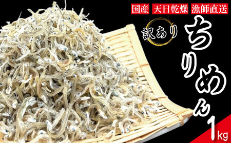 【獲れたて即加工！】 ちりめん 訳あり 1kg ちりめんじゃこ 徳島 小松島