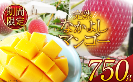 【期間限定】完熟なかよし マンゴー 約750g