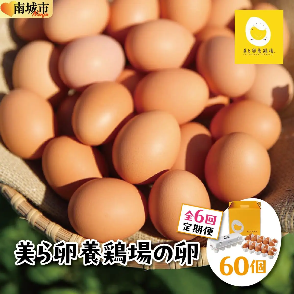美ら卵養鶏場の卵 60個【6ヶ月定期便】   