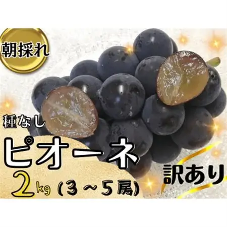 【2027年先行受付】訳あり岡山県産ピオーネ2kg【配送不可地域：離島】【1633341】