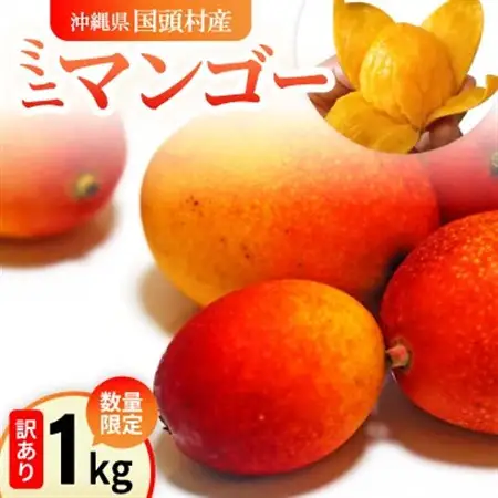 【2027年6月下旬から順次発送】数量限定の訳ありミニマンゴー1kg【配送不可地域：離島】【1634008】