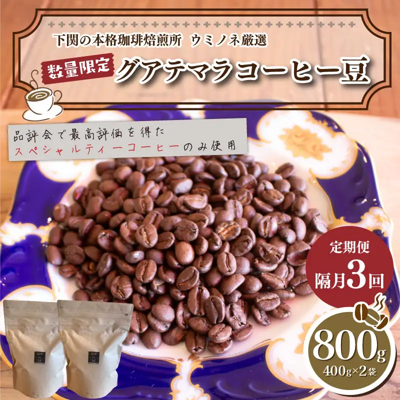 【コーヒー豆 定期便 隔月3回】 訳あり グアテマラ コーヒー豆 800g EW