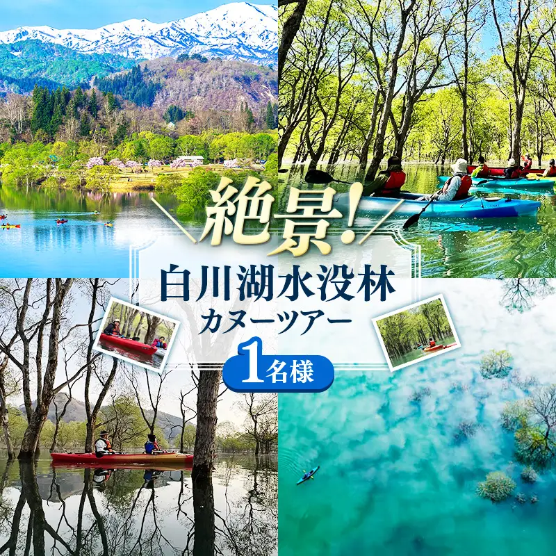 絶景 水没林カヌーツアー（1名様） 癒しの自然満喫アクティビティ【フォトジェニックスポット】- 体験型 カヌー体験 レジャー カヌー 自然 白川湖 水没林 体験チケット アクティビティ 観光 アウトドア 山形県 飯豊町【価格改定】