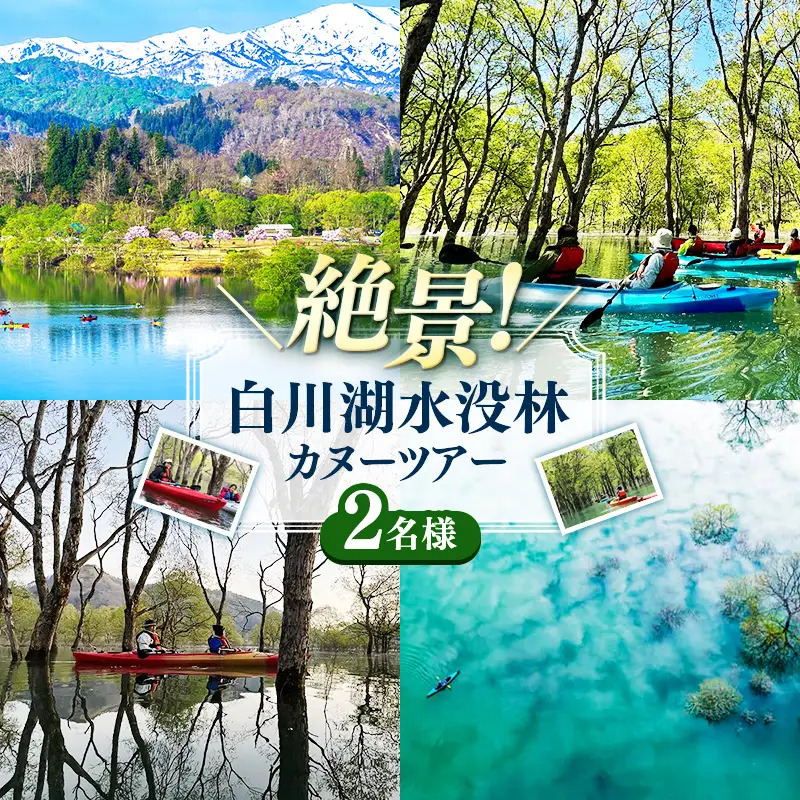 絶景 水没林カヌーツアー（2名様）癒しの自然満喫アクティビティ【フォトジェニックスポット】- 体験型 カヌー体験 レジャー カヌー 自然 白川湖 水没林 体験チケット アクティビティ 観光 アウトドア 山形県 飯豊町【価格改定】