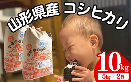 生産者の顔が見える米 コシヒカリ 白米 10kg（飯豊町産）(R7年産） - おこめ 米 ごはん 旨味 粘り こしひかり 単一米 銘柄 ブランド米 おすすめ 送料無料 マルシチ米穀 山形県 飯豊町【価格改定】