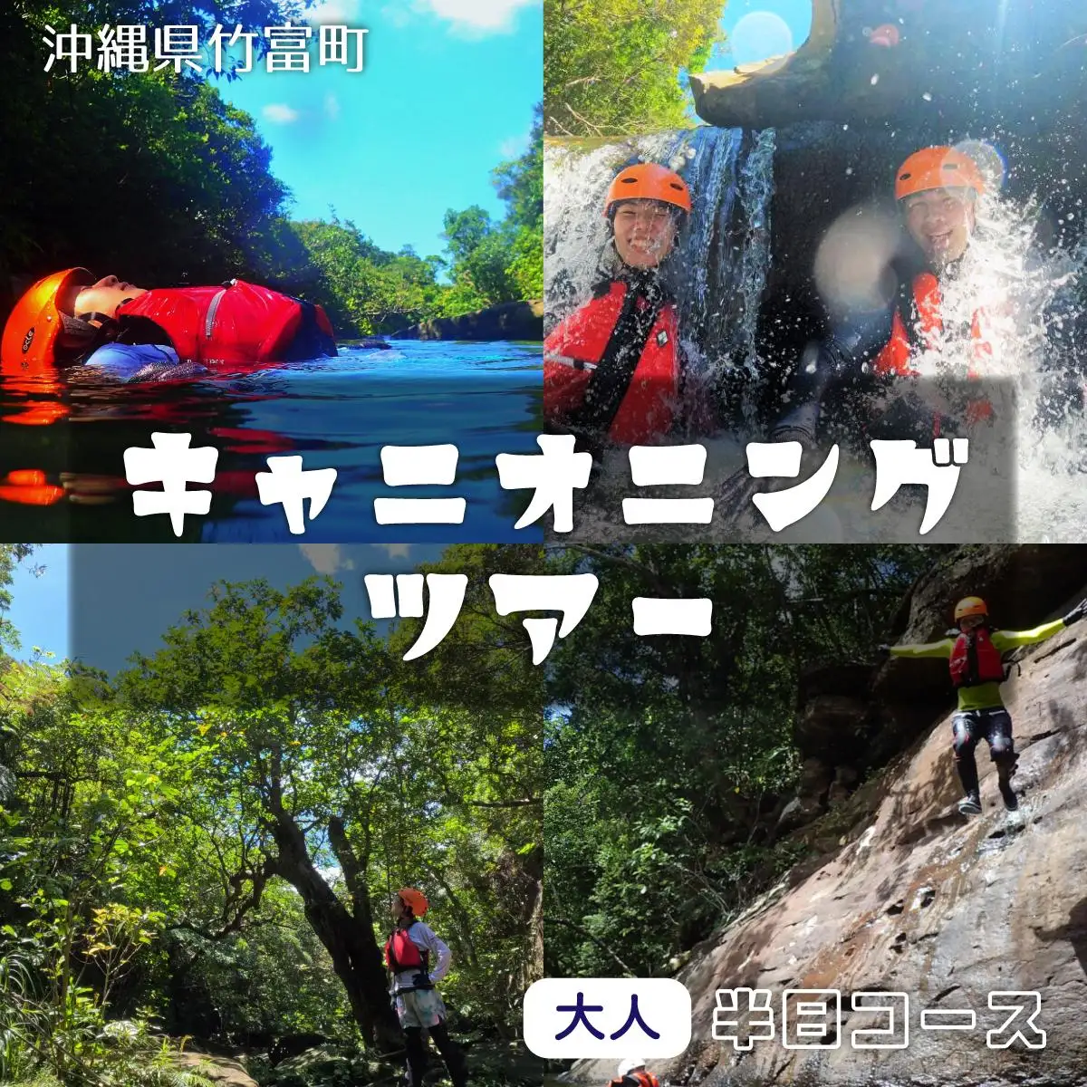 西表島 半日森林浴滝トレッキングツアー 小人1名分