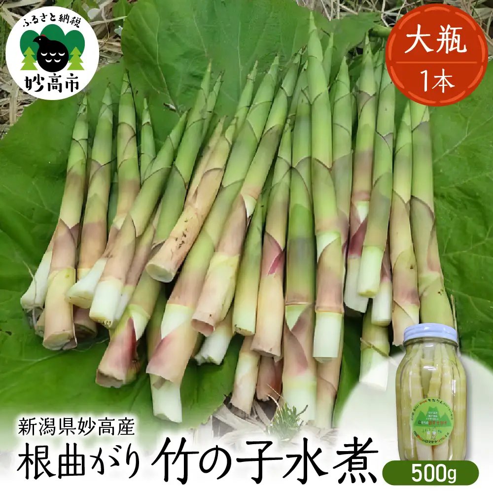 妙高産根曲がり竹の子水煮【大瓶】 500g  瓶詰 たけのこ