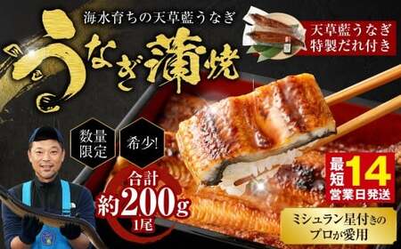 ＜ R8年熊本地震復興支援 ＞【ミシュラン星付きのプロが愛用】1日10セット限定！海水育ちの天草藍うなぎ 蒲焼き 1尾セット【合計約200g】 数量限定!! 鰻 ウナギ うなぎ うなぎ蒲焼 鰻の蒲焼 うなぎ 国産 【2026年6月下旬より順次発送予定】