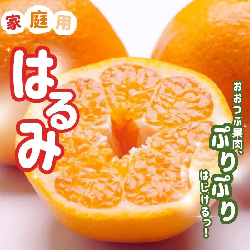 【先行予約】家庭用 はるみ 10kg+250g（傷み補償分) / みかん ミカン 有田みかん 柑橘 フルーツ 果物 和歌山 オレンジ ※2027年2月上旬〜3月下旬頃に順次発送予定 ※北海道・沖縄・離島への配送不可 【ikd013-c-10B】