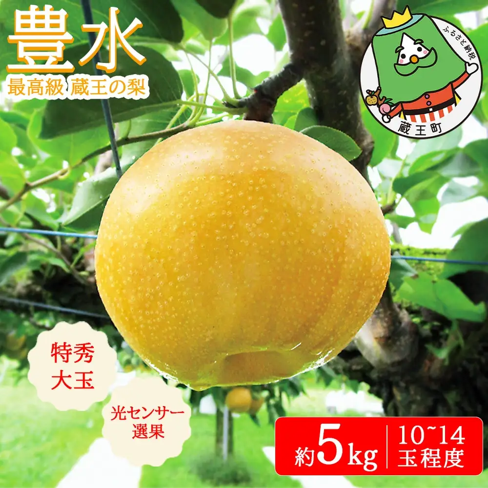 【先行予約】最高級 蔵王の梨 豊水 約5kg　特秀・大玉　【04301-0716】梨 なし 果物 くだもの スイーツ フルーツ デザート 甘い ジューシー 蔵王