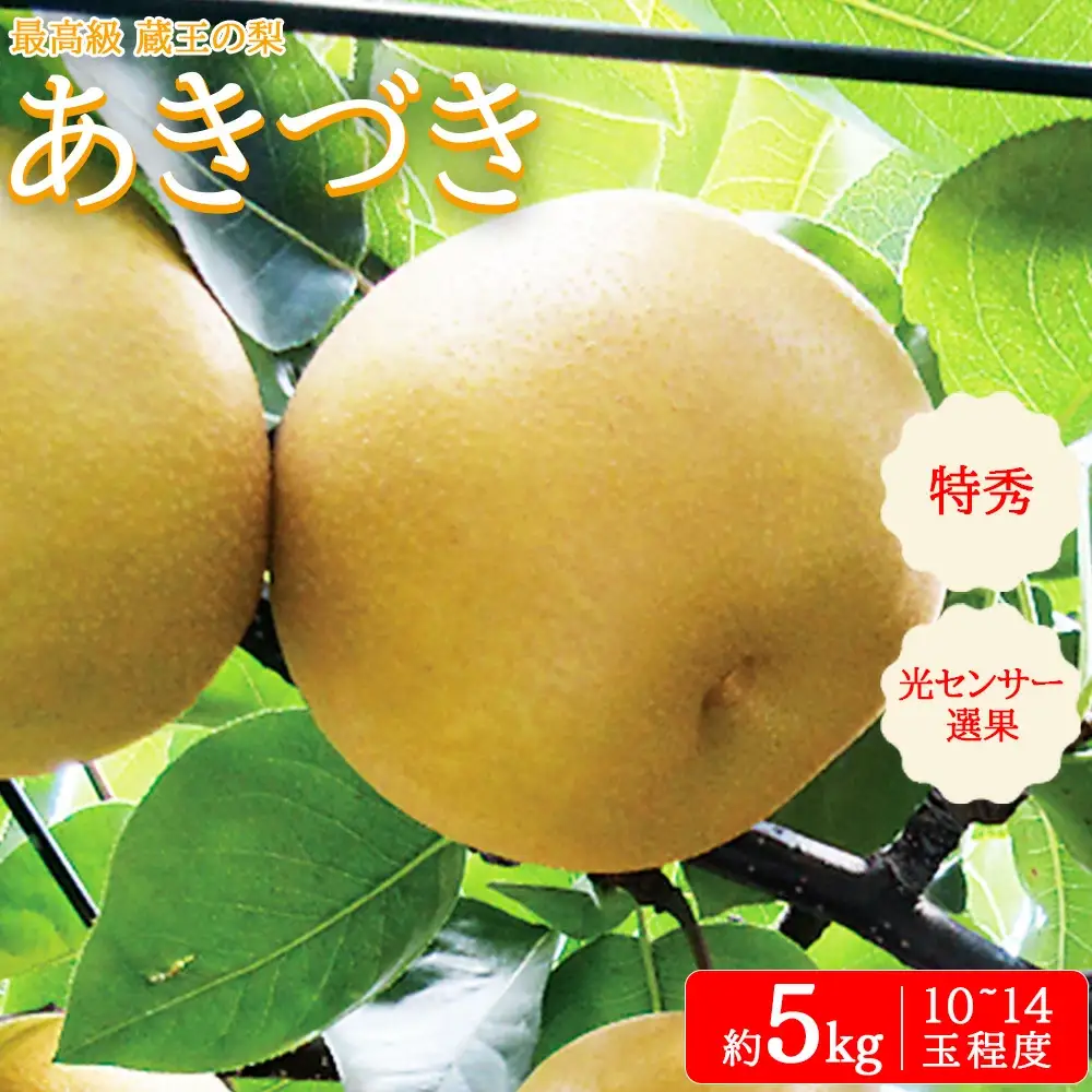 【先行予約】最高級 蔵王の梨 あきづき 約5kg 特秀･大玉　【04301-0717】梨 なし 果物 くだもの スイーツ フルーツ デザート 甘い ジューシー 蔵王