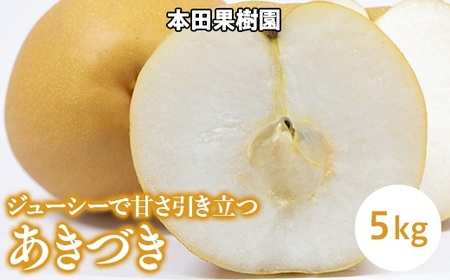 「あきづき」 梨 なし 5kg | 先行予約 数量限定 贈答用 なし 梨 果物 くだもの フルーツ ナシ あきづき 旬 栃木県 上三川町 本田果樹園 ※2026年9月～発送