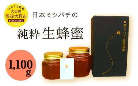 025-767x1 【TV番組で紹介されました】 日本ミツバチ の 純粋 生蜂蜜 1100g ハチミツ はちみつ 国産 生はちみつ 【2025年11月下旬より順次発送予定】