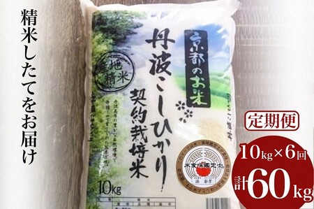 【6回定期便】コシヒカリ 10kg 定期便 精米 白米