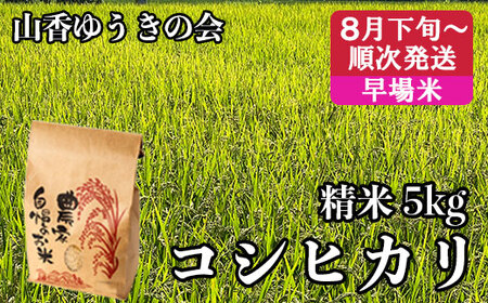 【 令和7年産 新米 】山香ゆうきの会の米 5kg（精米：コシヒカリ） 新米 5kg 米 早場米 ＜002-021＞