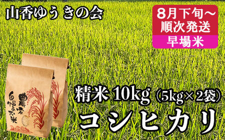 【 令和7年産 新米 】山香ゆうきの会の米 10kg（精米：コシヒカリ） 新米 10kg 米 早場米 ＜002-022＞