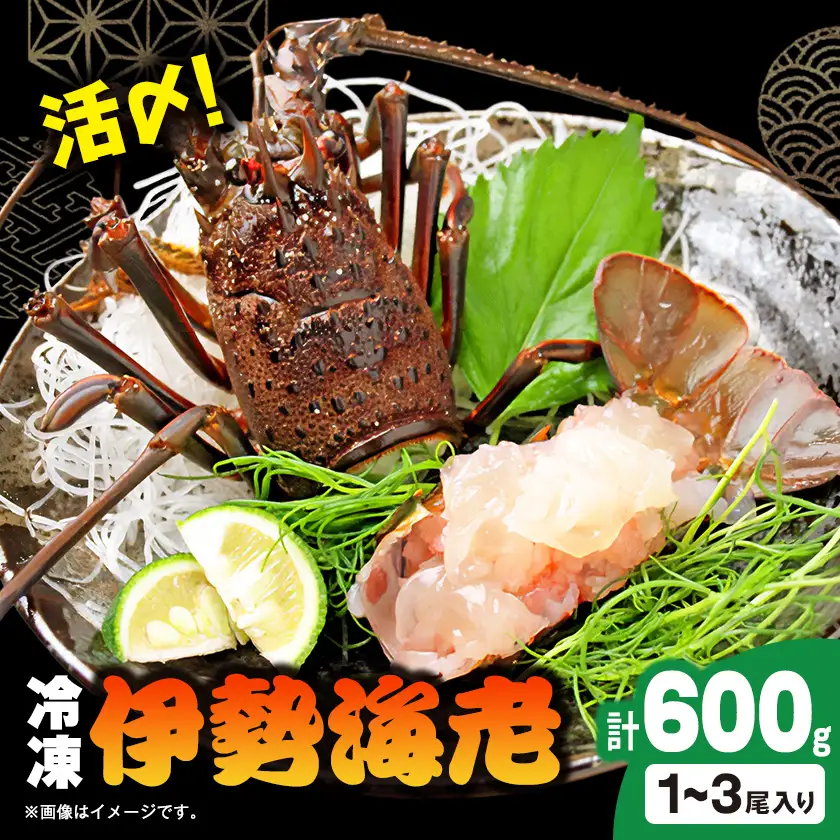 活〆冷凍伊勢海老600g【配送不可地域：離島】【1607625】