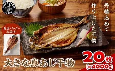 干物 大きな真あじの干物 200g×20(約4kg)【C9-015】