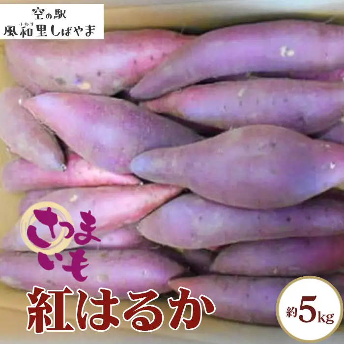 No.067 サツマイモ箱（紅はるか）約5kg