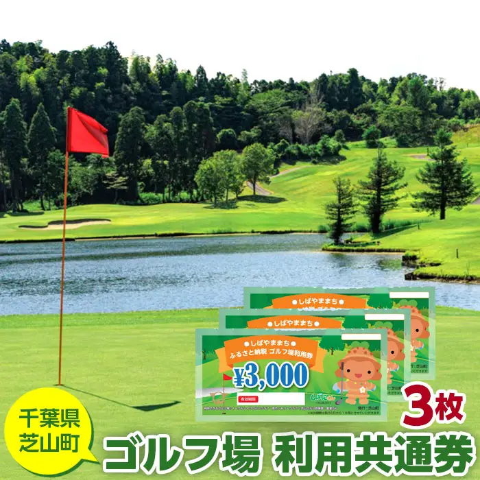 No.003 芝山町ゴルフ場利用券　3枚