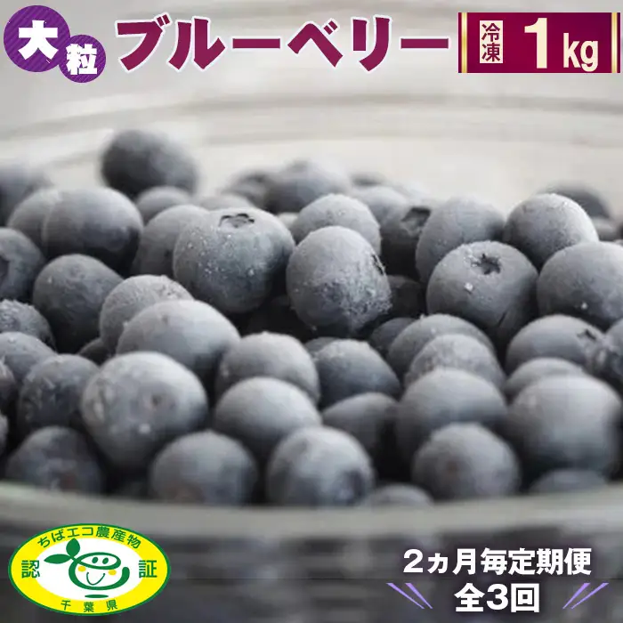 No.052 ＜2ヵ月毎定期便＞大粒冷凍ブルーベリー1kg「るりしずく」　全3回 ／ 定期的 新鮮 果物 果実 フルーツ ブランド 朝摘み 完熟 みずみずしい スムージー トッピング 朝食 おやつ デザート 間食 子供 贈答用 チャック付 送料無料 千葉県