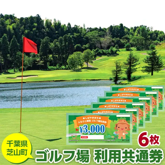 No.006 芝山町ゴルフ場利用券　6枚