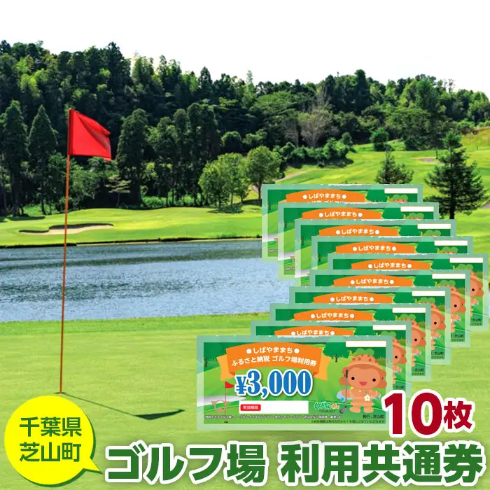 No.010 芝山町ゴルフ場利用券　10枚