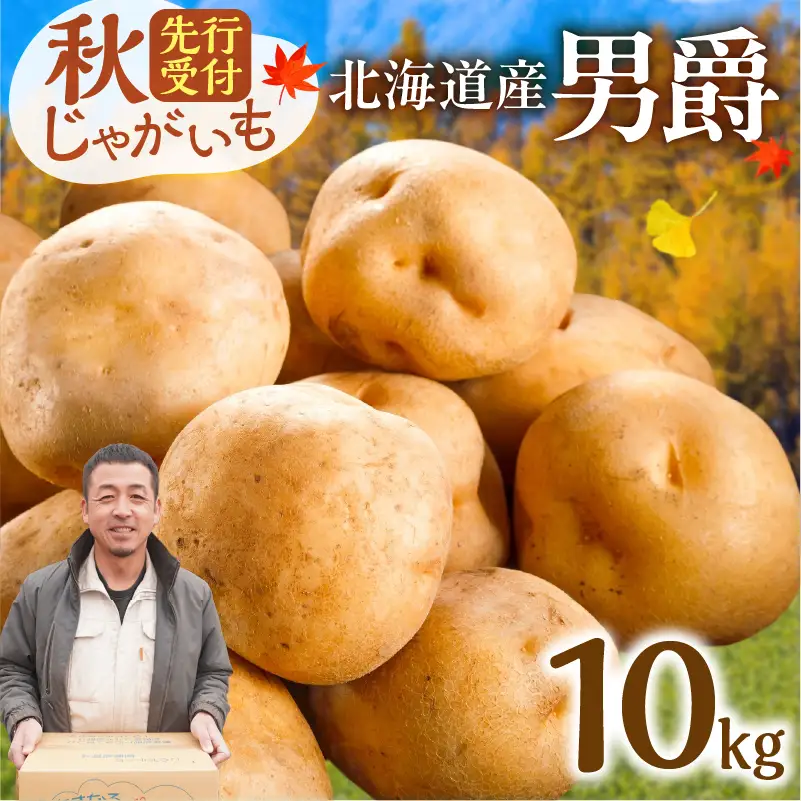北海道産じゃがいも 男爵 10kg 【北海道清水町】じゃがいも _S041-0006-2026