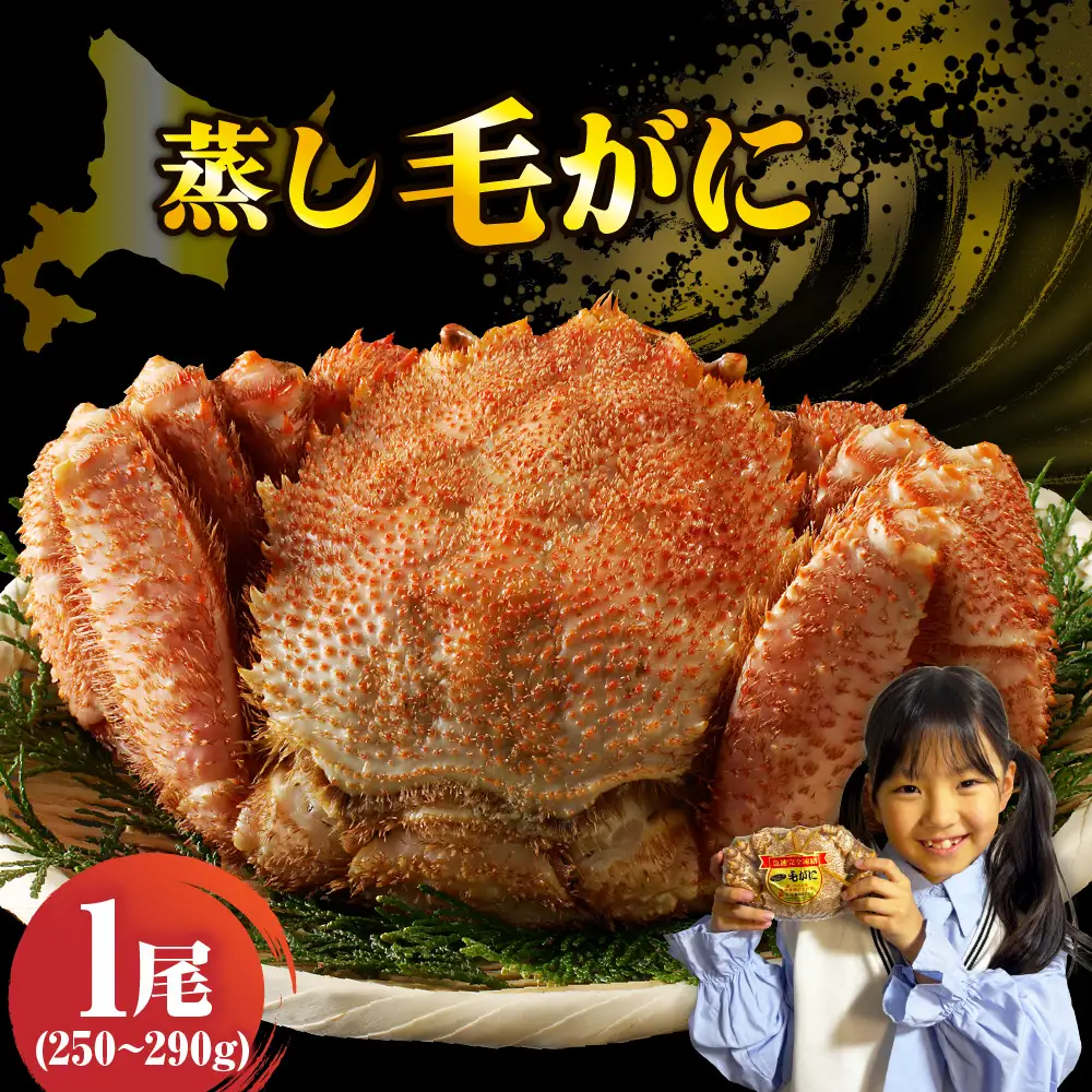北海道産活蒸し毛蟹約250g～約290g×1尾