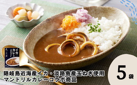イカカレー 160g×5個 カレー